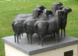 De Schapen